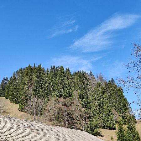 Berggasthaus Prager Boden Todtnau Exteriér fotografie