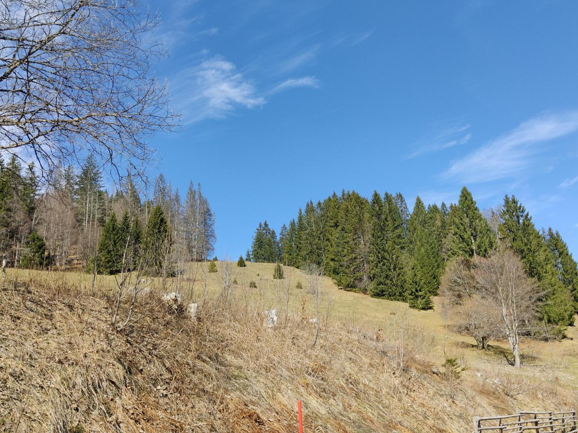 Berggasthaus Prager Boden Todtnau Exteriér fotografie