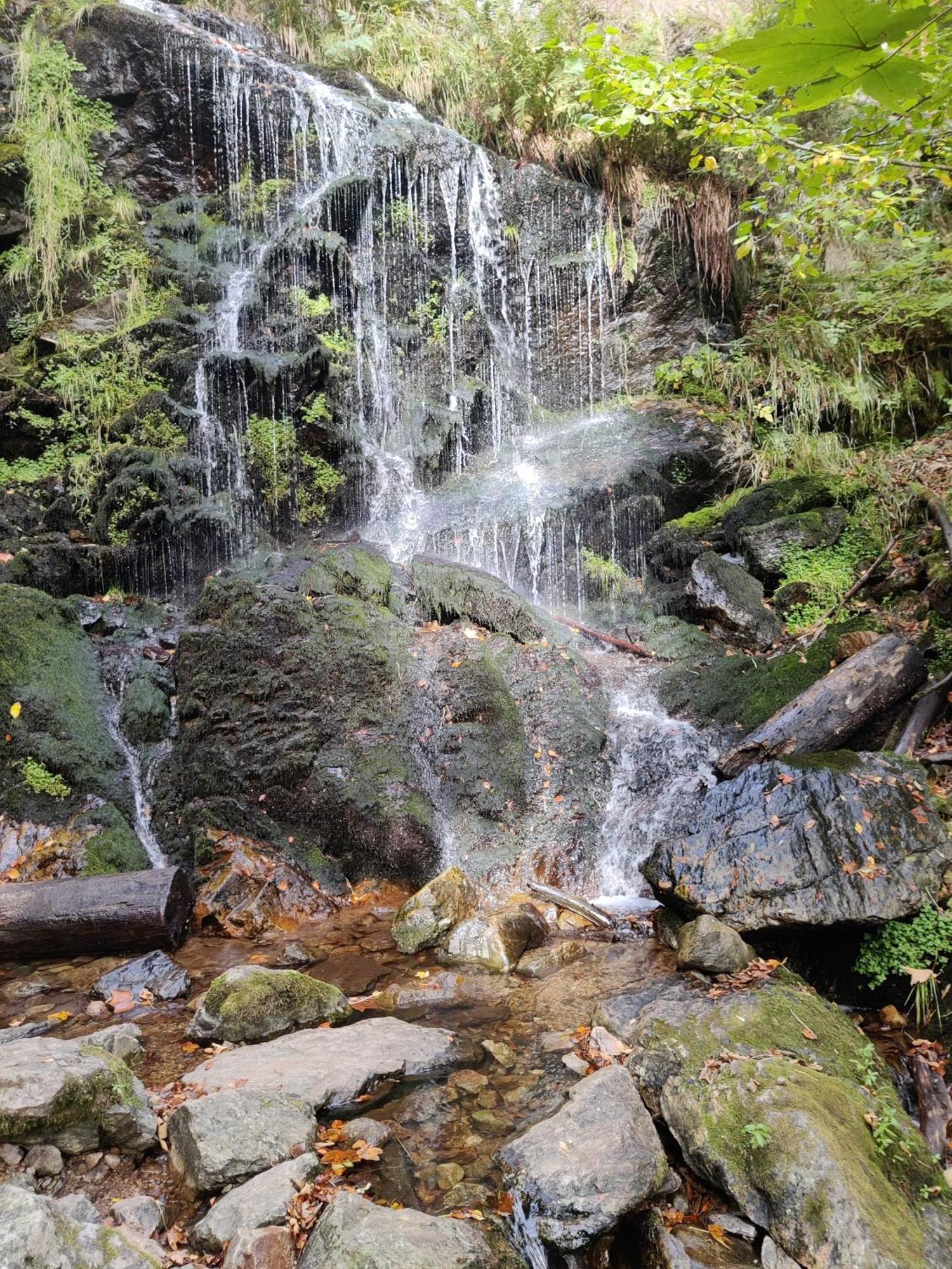 Berggasthaus Prager Boden Todtnau Exteriér fotografie