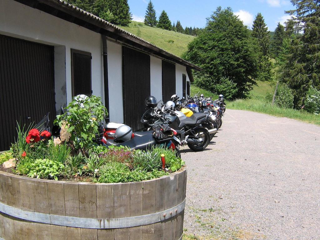 Berggasthaus Prager Boden Todtnau Exteriér fotografie